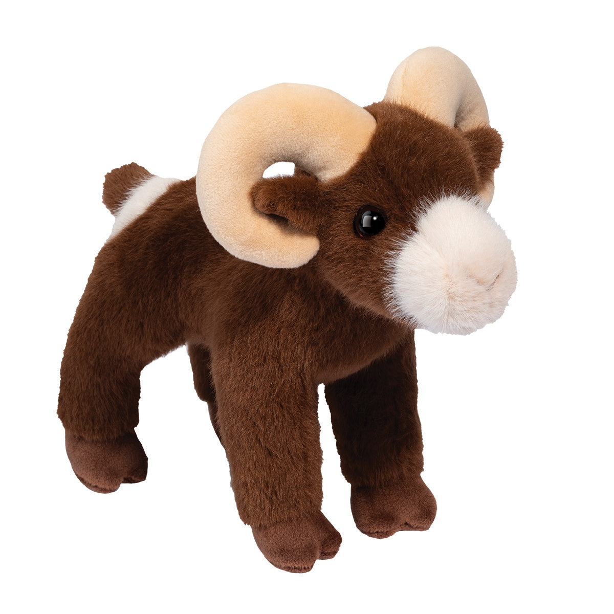 Douglas Burly Big Horn Sheep