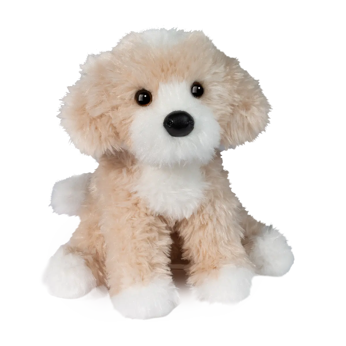 Douglas Darcy Goldendoodle