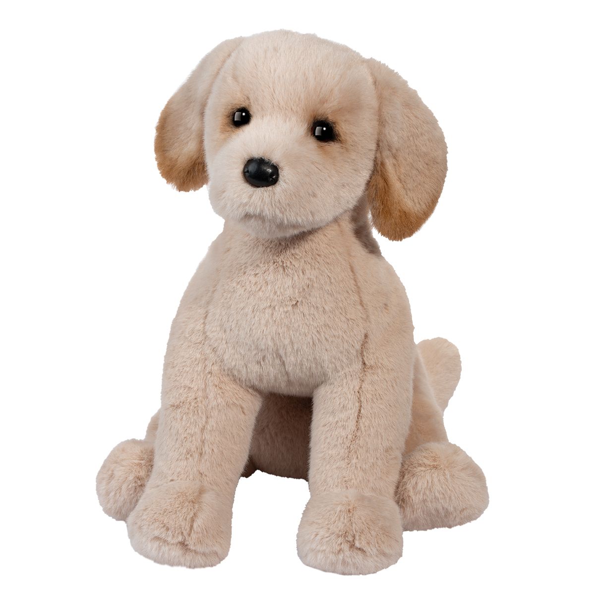 Douglas Birch Yellow Lab