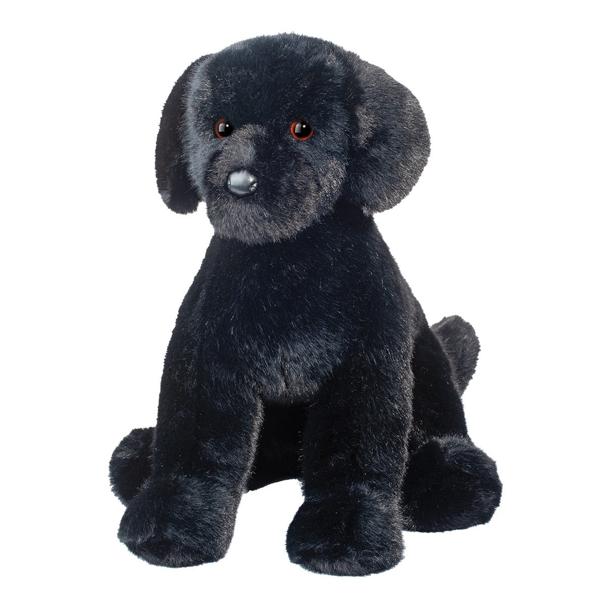 Douglas Spruce Black Lab