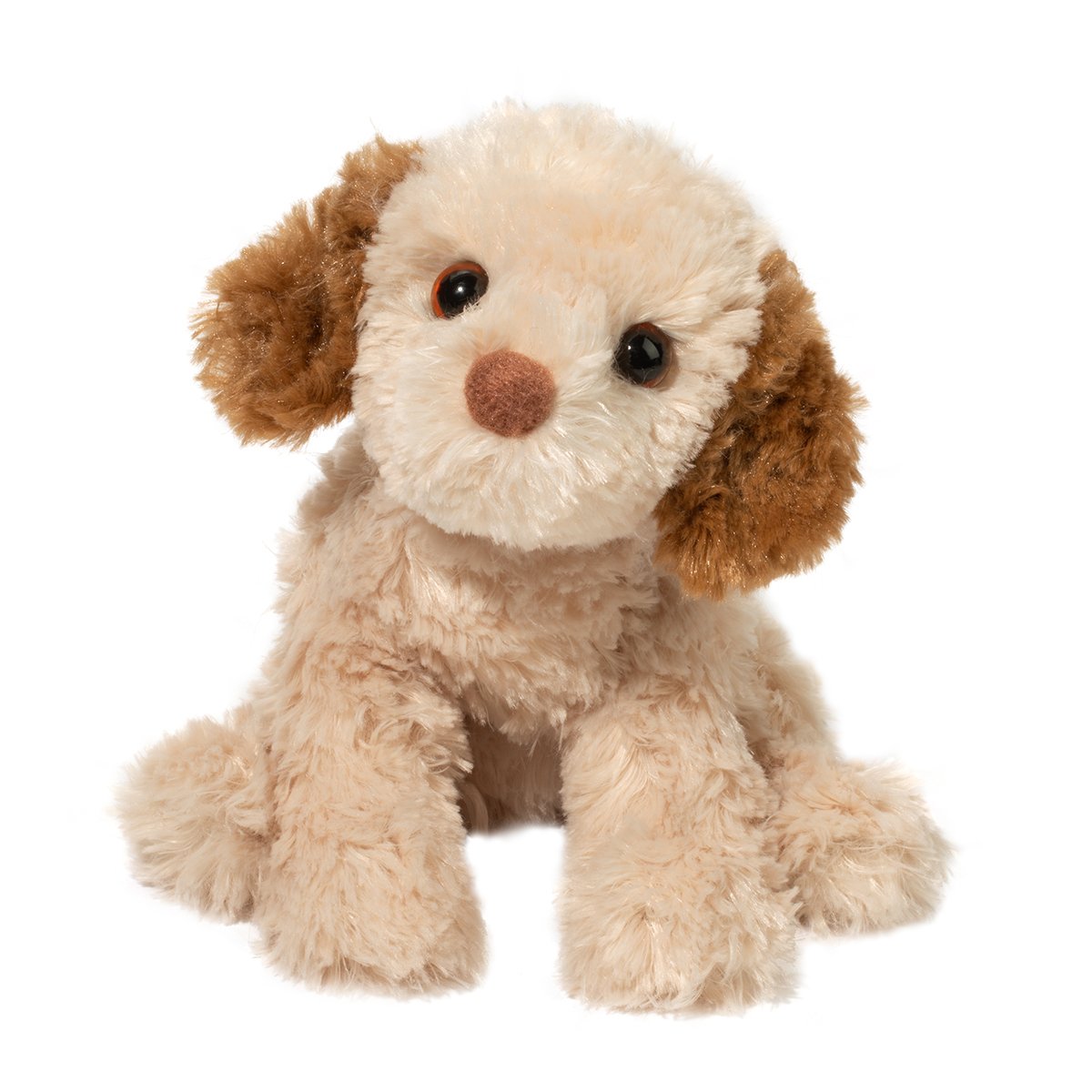 Douglas Biscuit Cavapoo