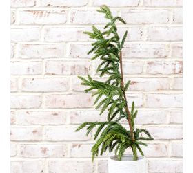 PDPW2405 36" Evergreen Branch