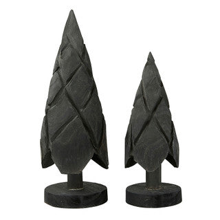 Paulownia Trees Set of 2 | Black