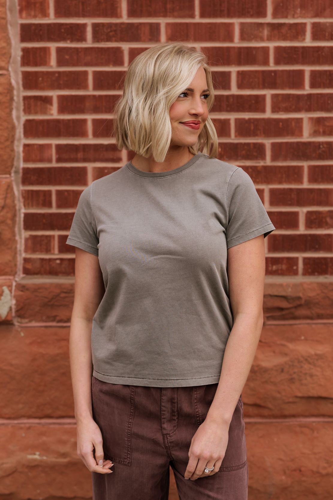 Asher Basic Tee | Taupe