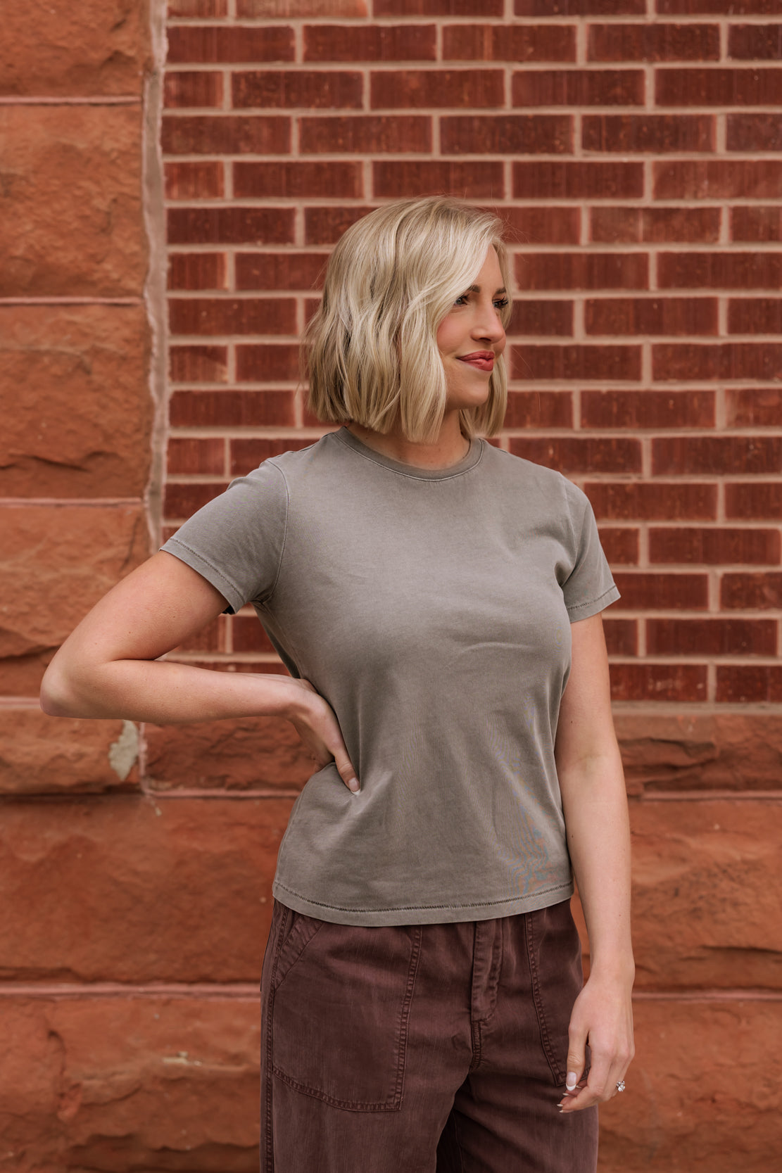 Asher Basic Tee | Taupe