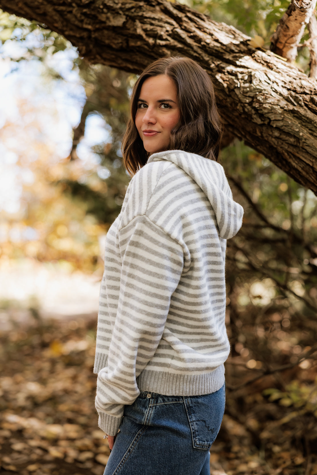 Ellie Striped Hooded Zip Up | Grey