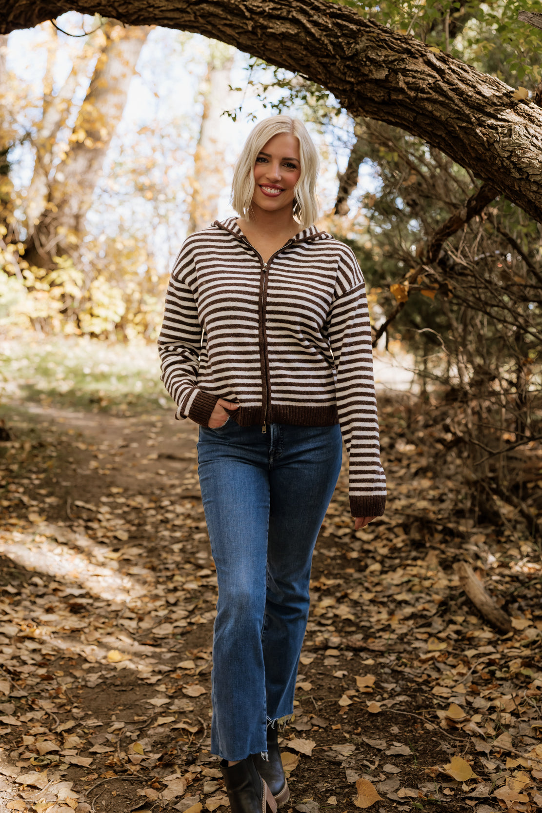 Ellie Striped Hooded Zip Up | Brown Combo