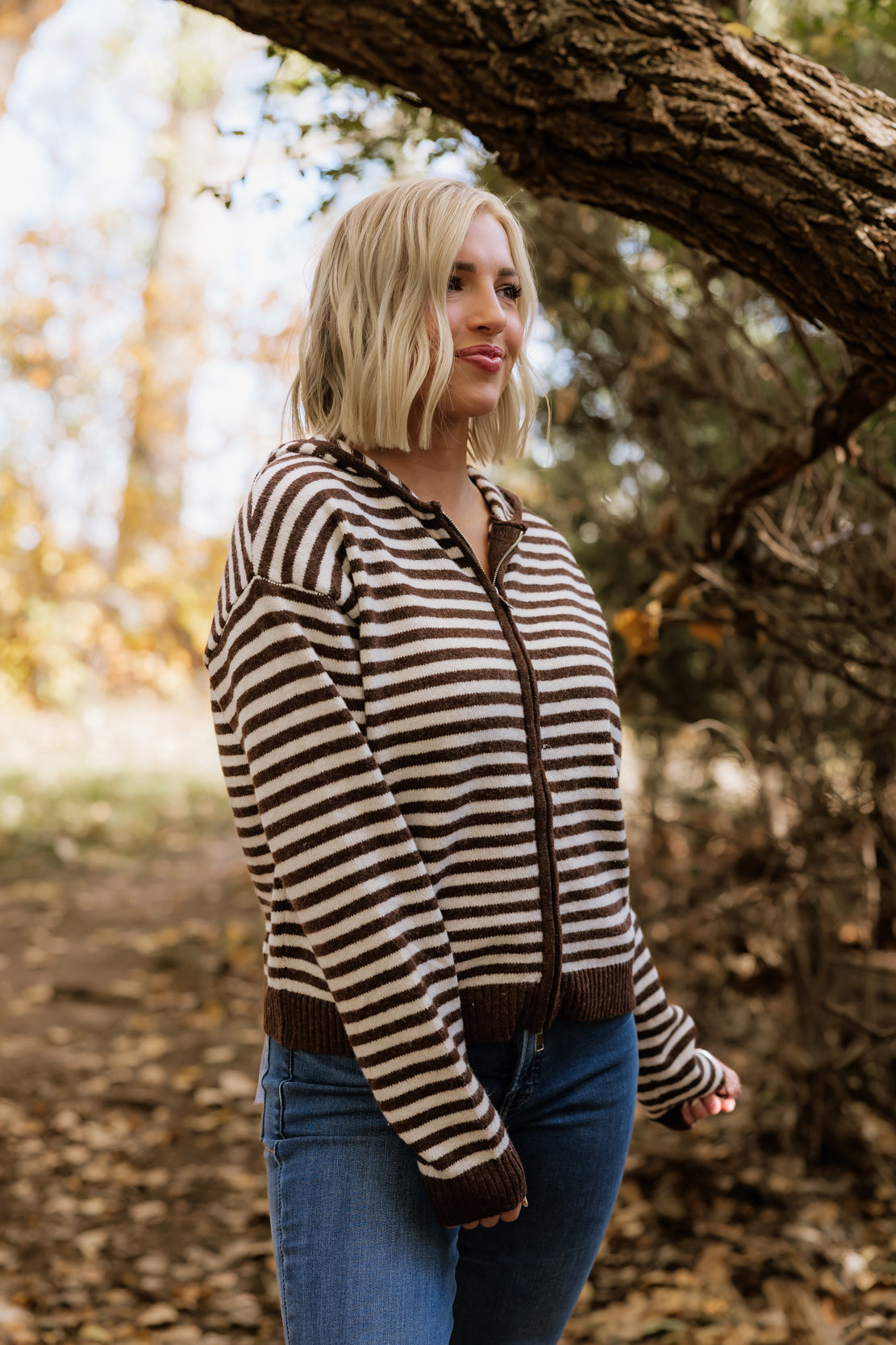 Ellie Striped Hooded Zip Up | Brown Combo