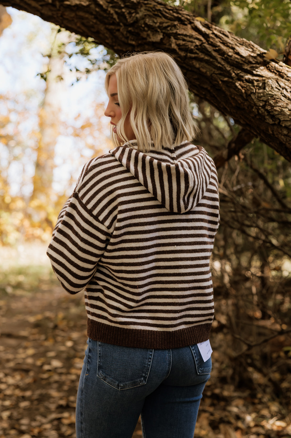 Ellie Striped Hooded Zip Up | Brown Combo