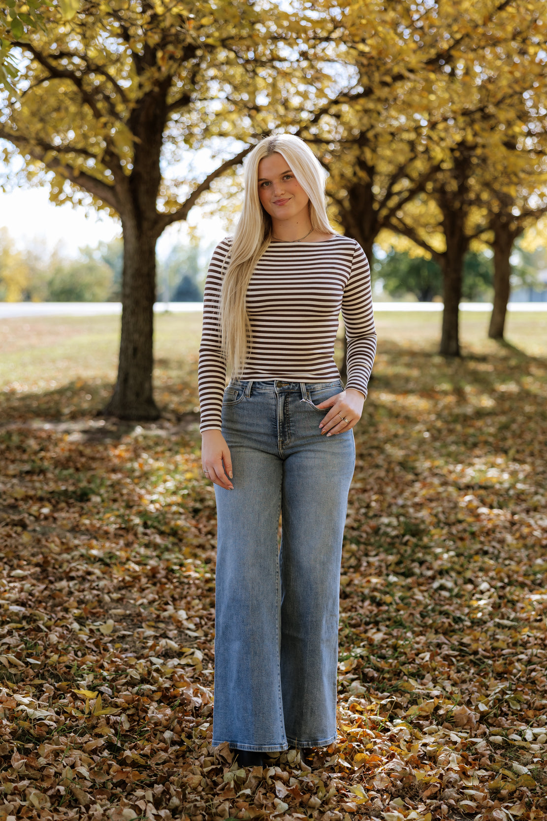 Savannah Striped Boat Neck Top | Brown
