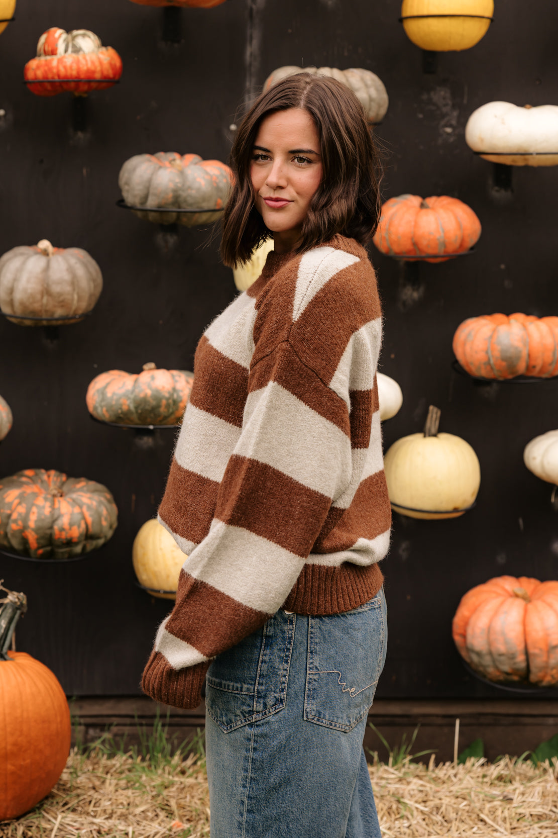 Carson Striped Sweater | Brown Taupe