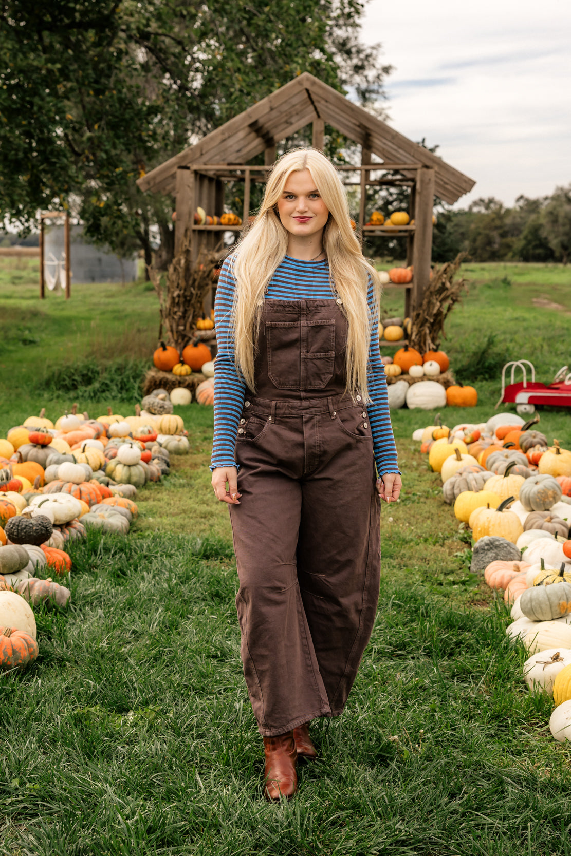 We The Free Good Luck Barrel Overalls | Chocolate Mousse