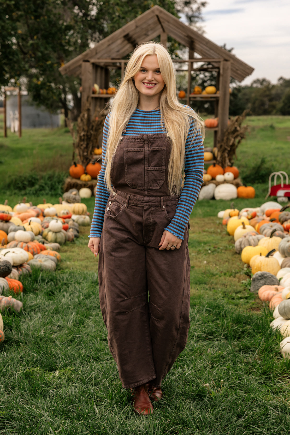 We The Free Good Luck Barrel Overalls | Chocolate Mousse