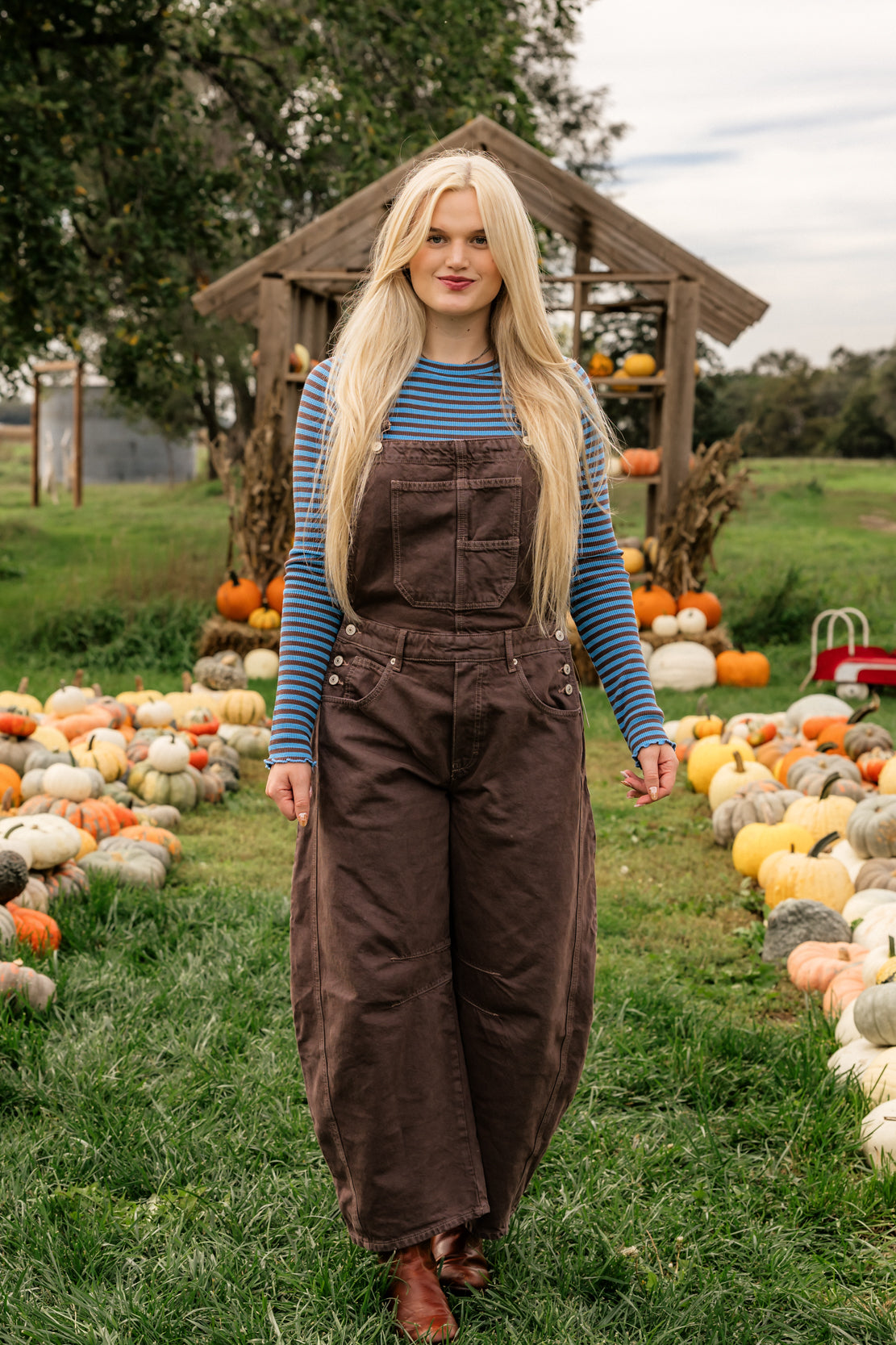 We The Free Good Luck Barrel Overalls | Chocolate Mousse