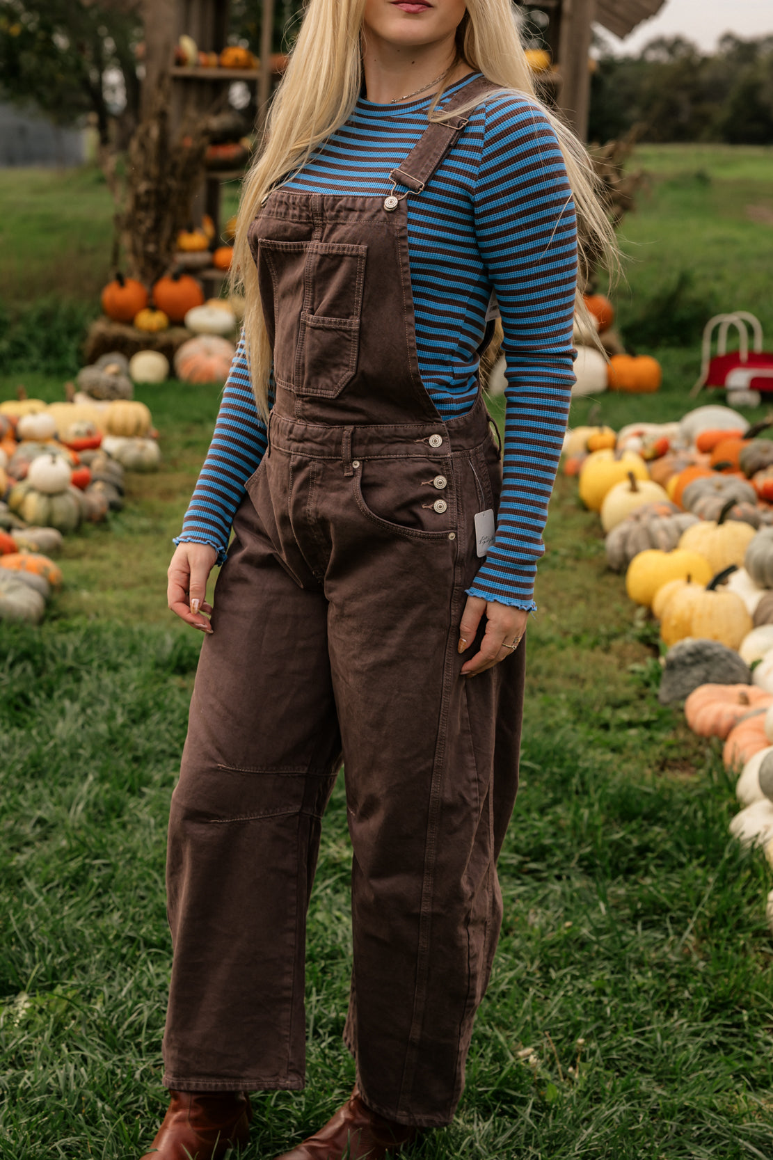 We The Free Good Luck Barrel Overalls | Chocolate Mousse