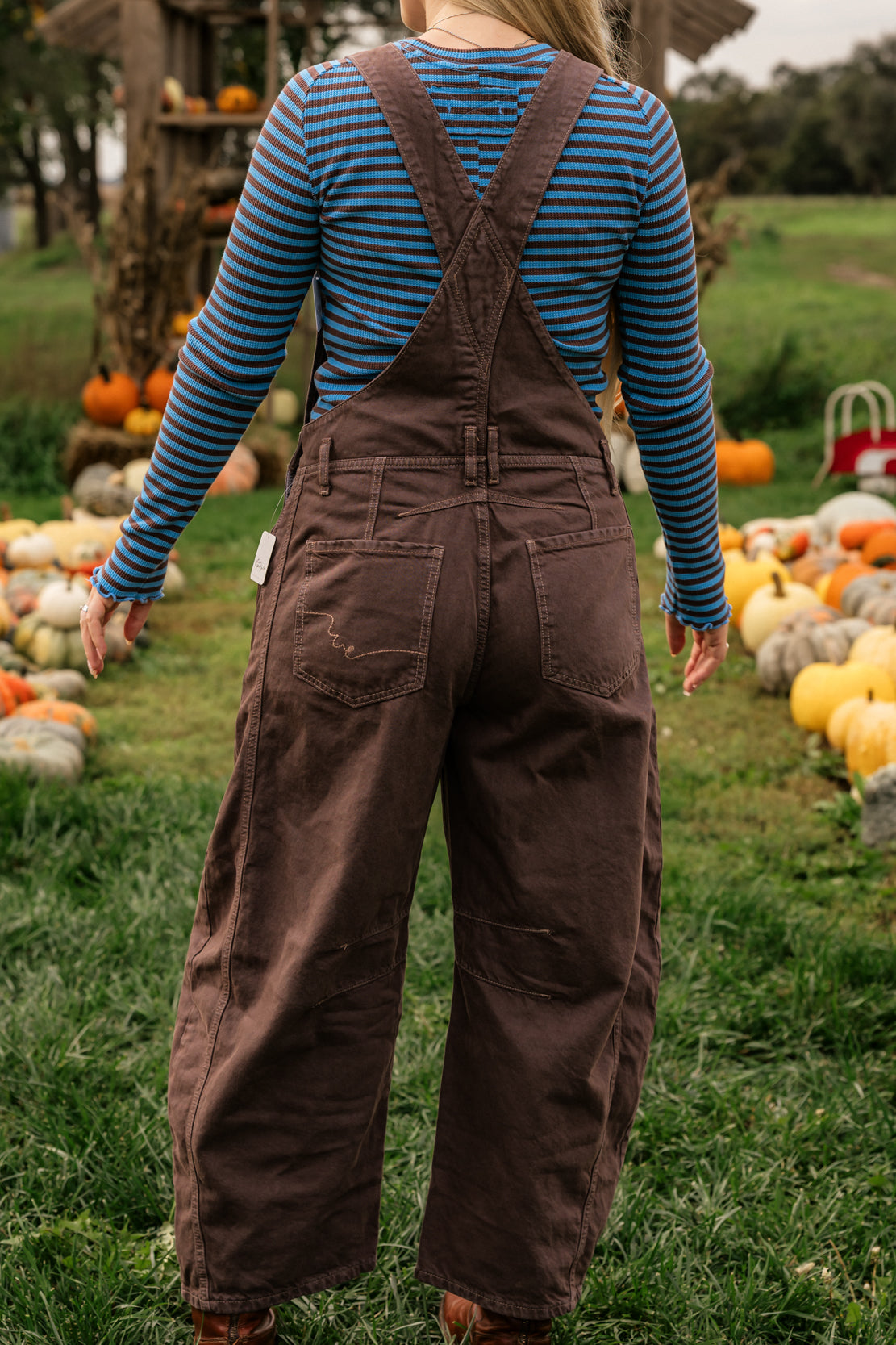 We The Free Good Luck Barrel Overalls | Chocolate Mousse