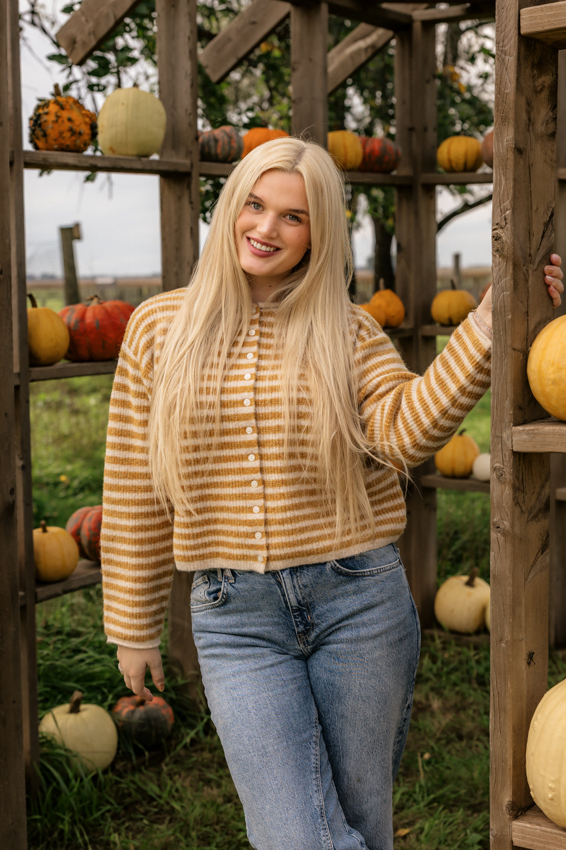 Quinn Striped Button Sweater | Mustard/Oat
