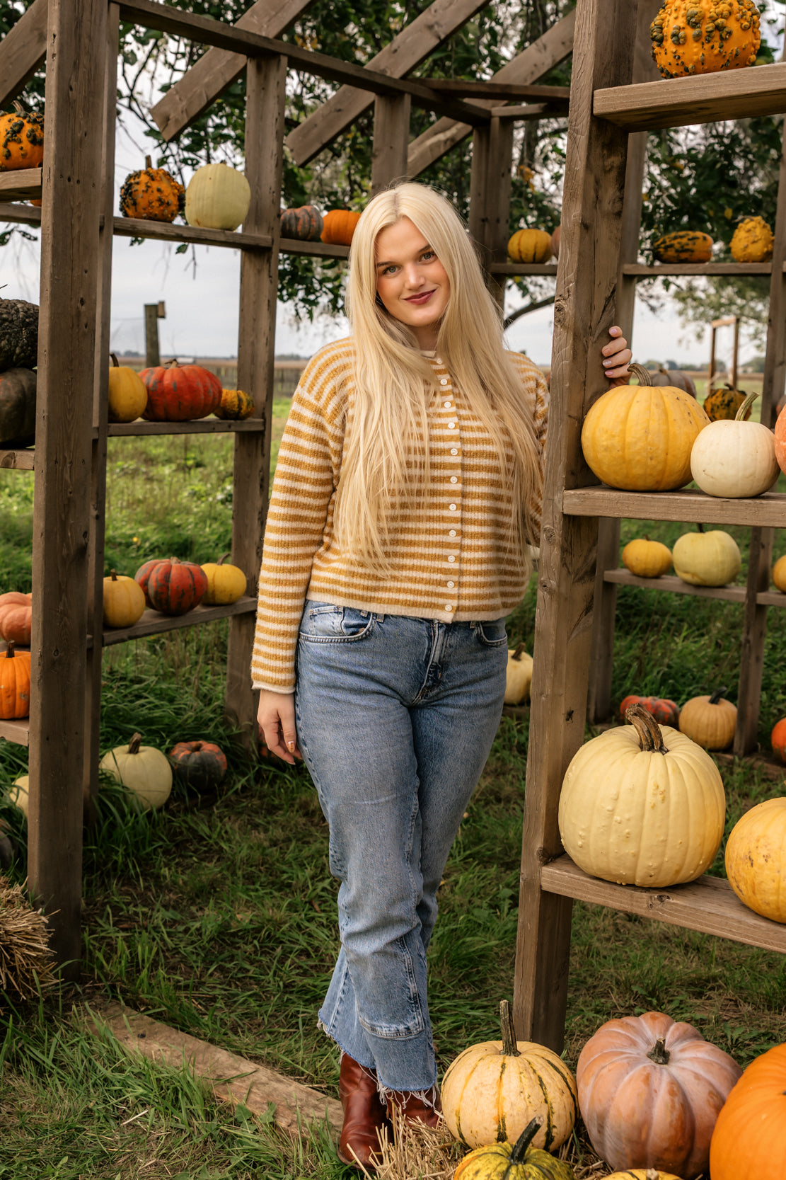 Quinn Striped Button Sweater | Mustard/Oat