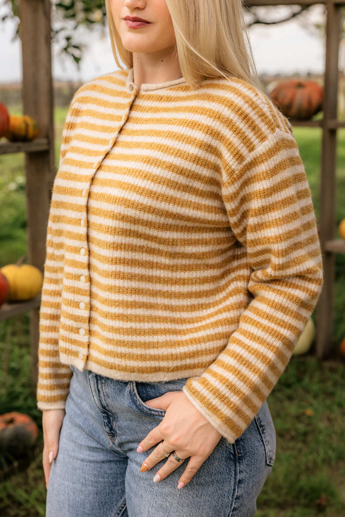 Quinn Striped Button Sweater | Mustard/Oat