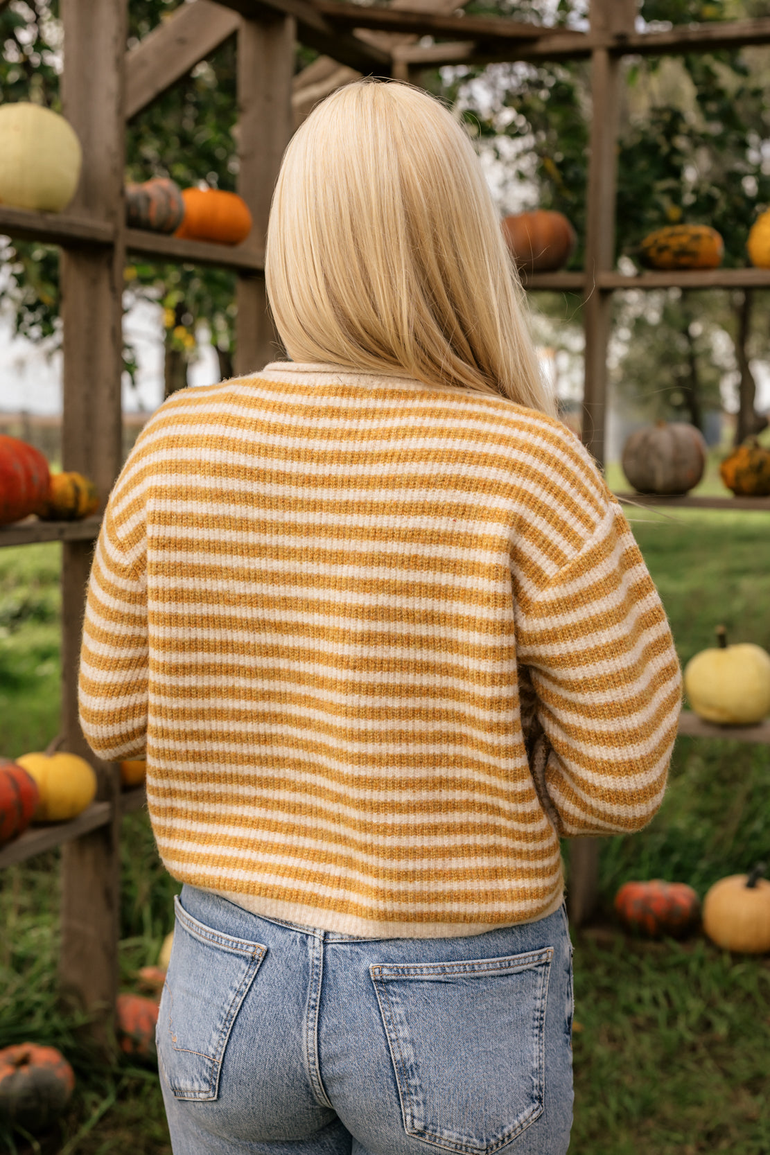 Quinn Striped Button Sweater | Mustard/Oat