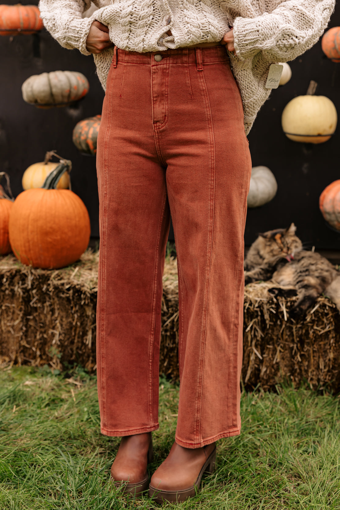 Astrid Wide Leg Pants | Terracotta