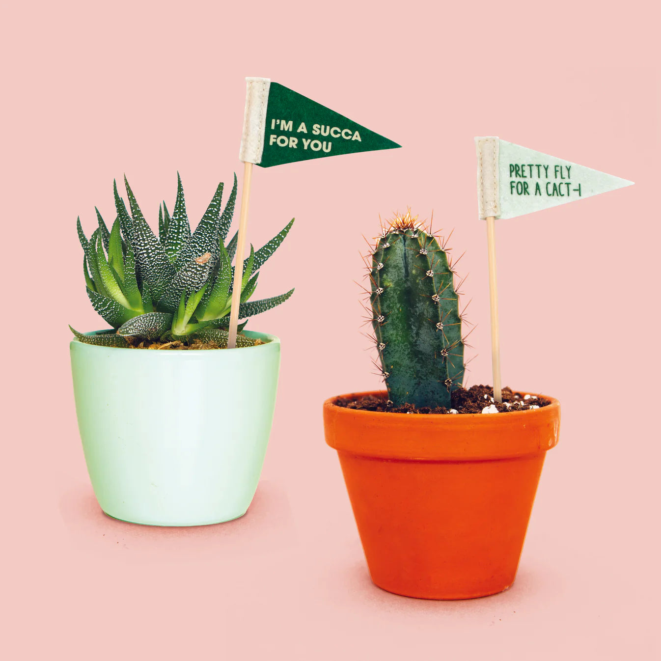 Plant Flags 5 Pack