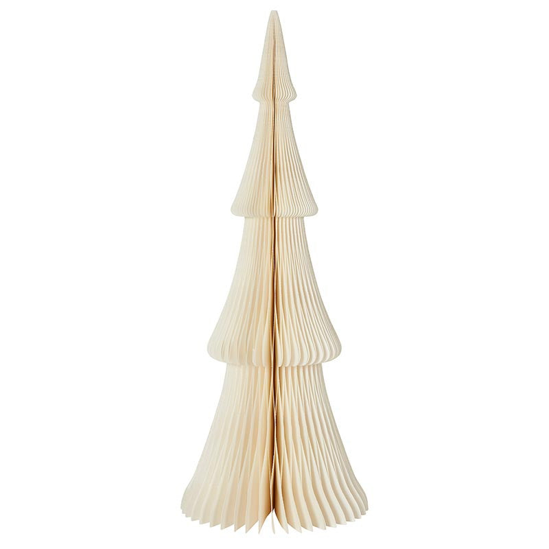 P6580 Papertree | Frasier Fir Warm White 24"