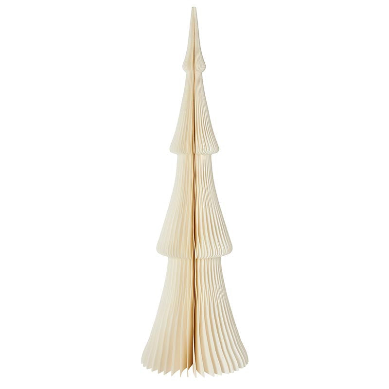 P6582 Papertree | Frasier Fir Warm White 30"