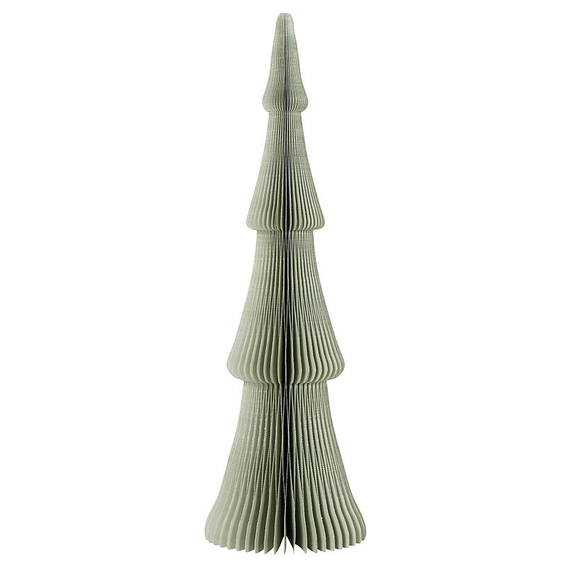 P6624 Papertree | Frasier Fir Sage Grey 14"