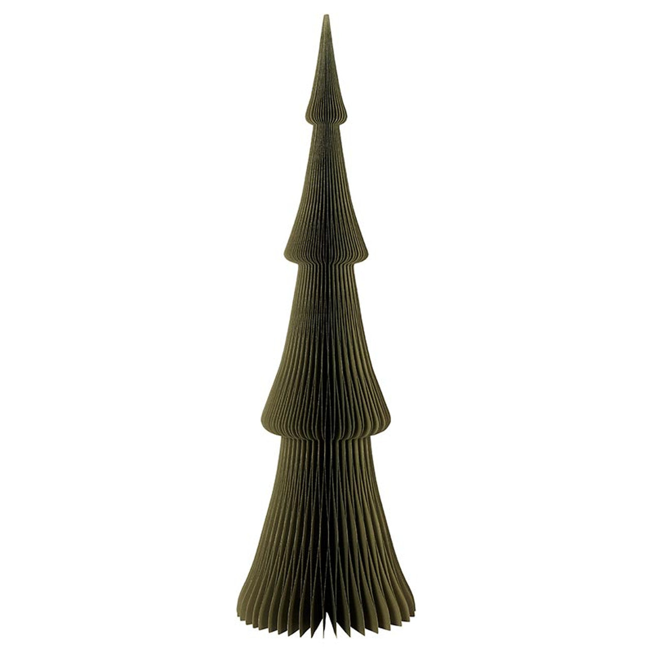 P6628 Paper Tree Frasier 30"