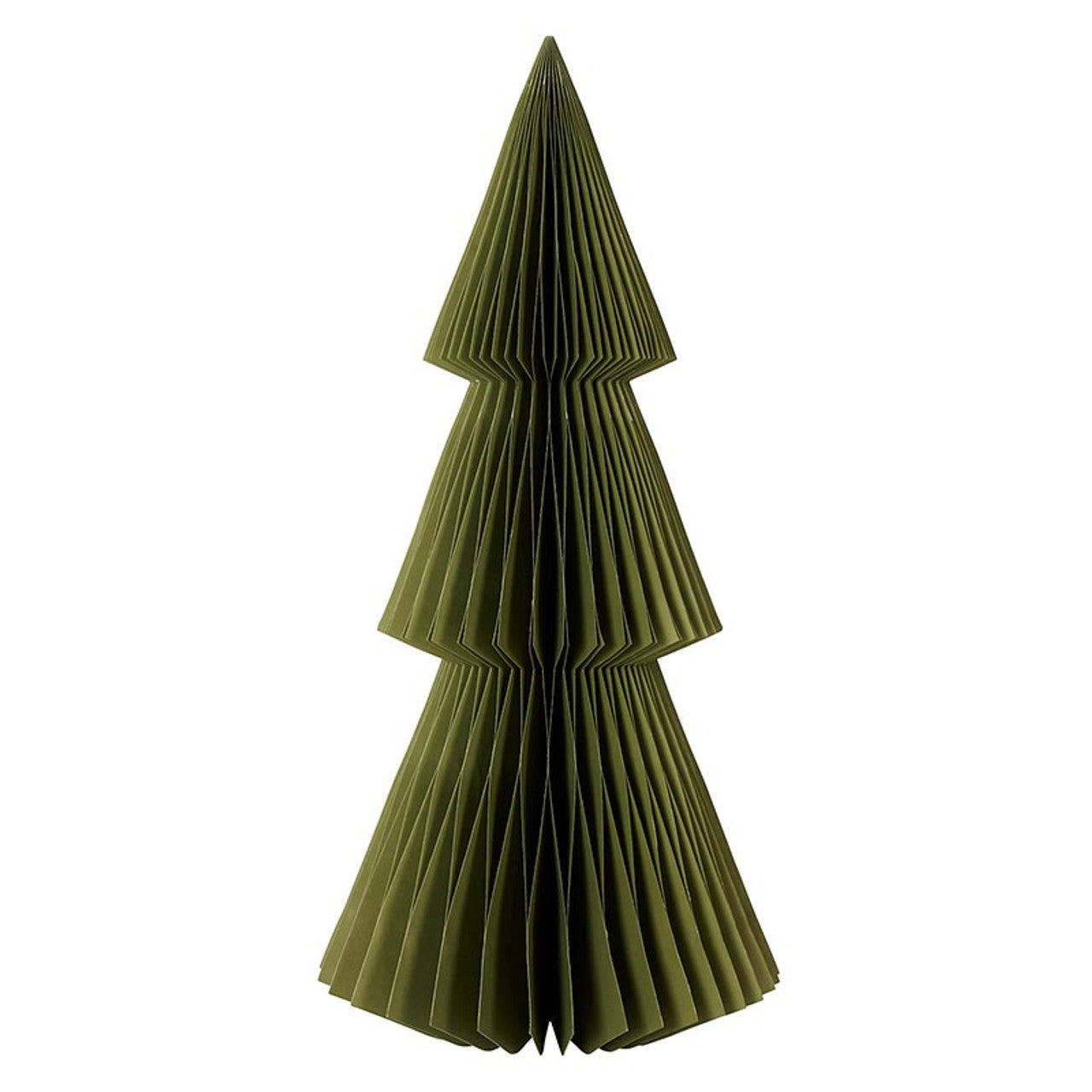 P6633 Paper Tree Balsam 24"