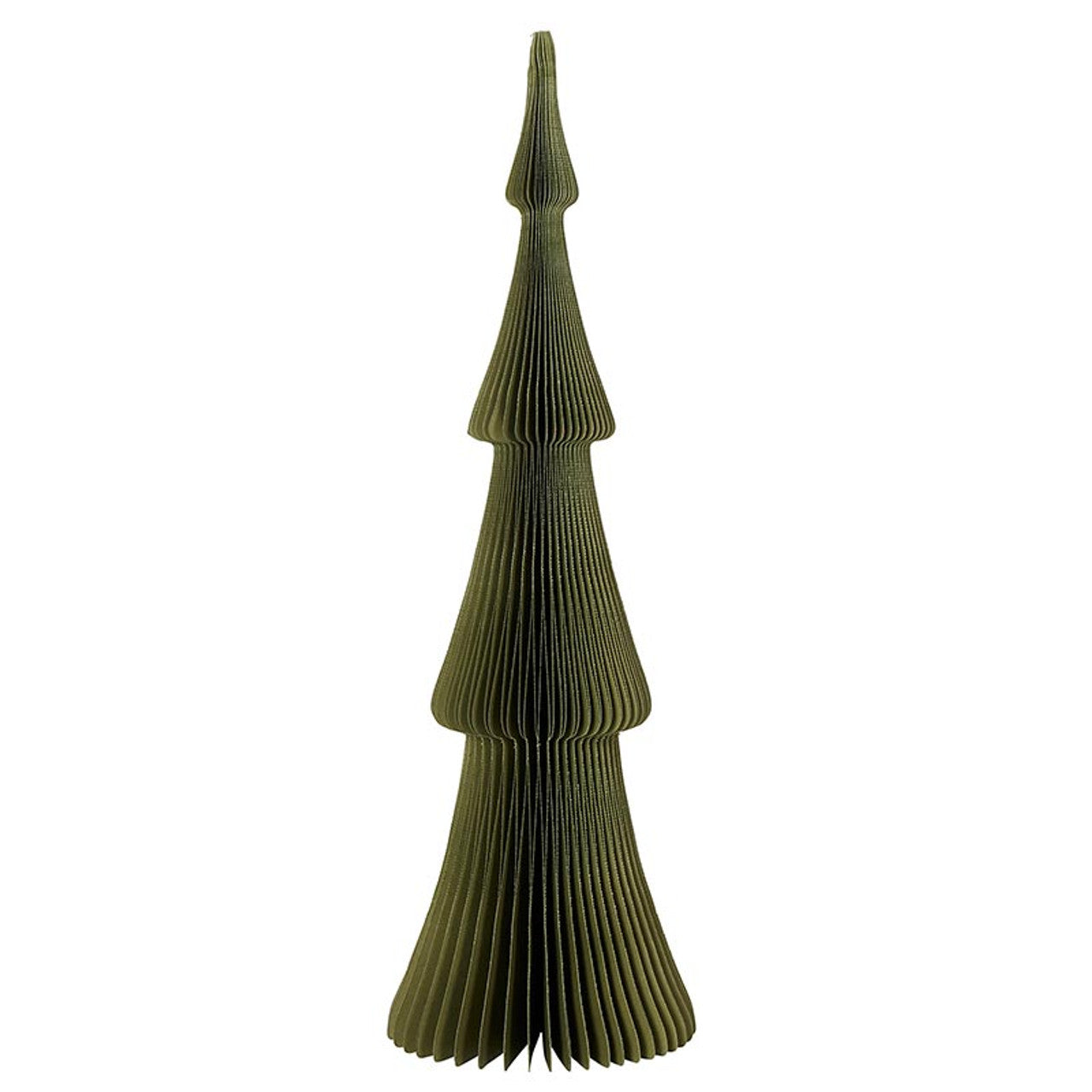 P6635 Paper Tree Frasier 18"