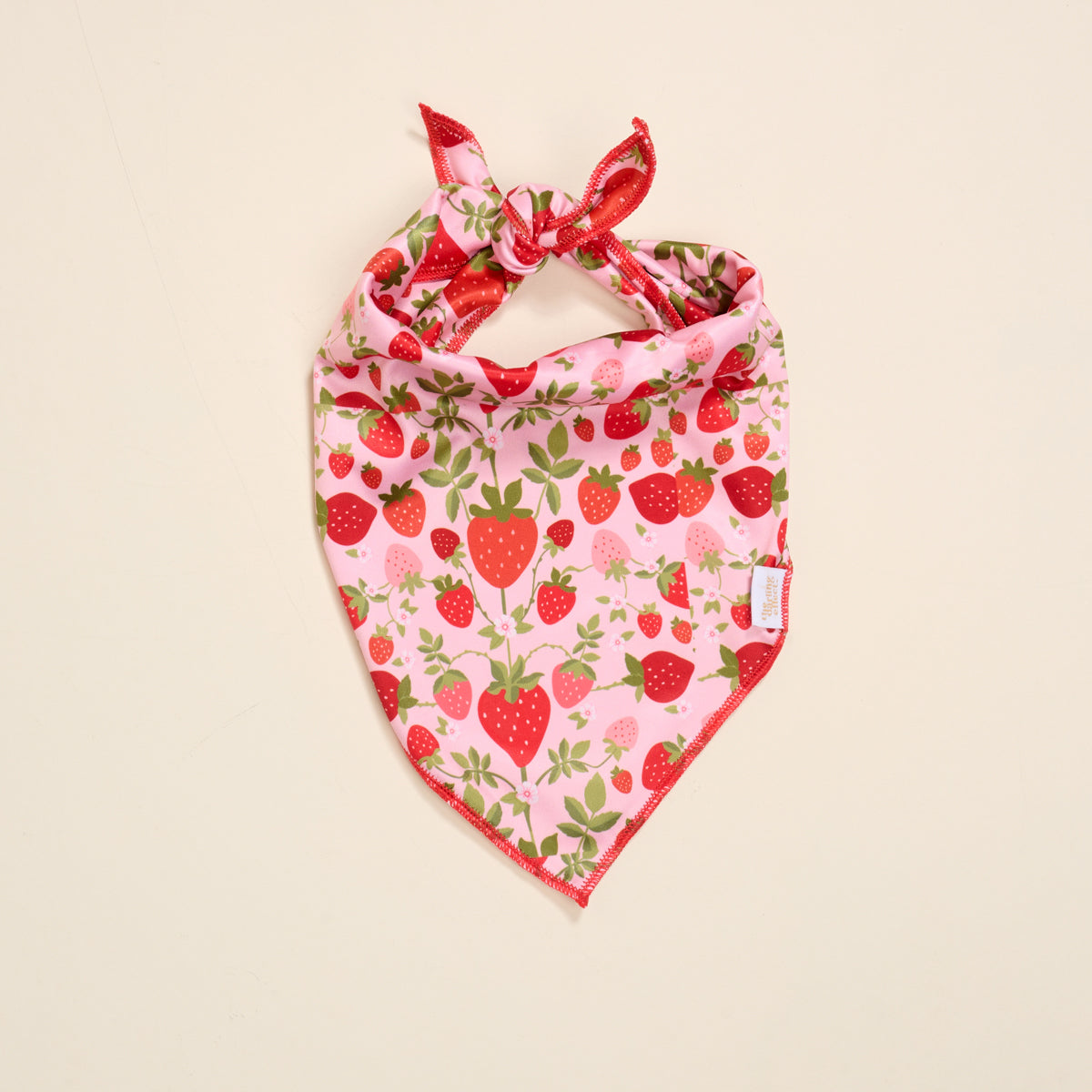Pet Bandana Small/Medium | Strawberry Fields