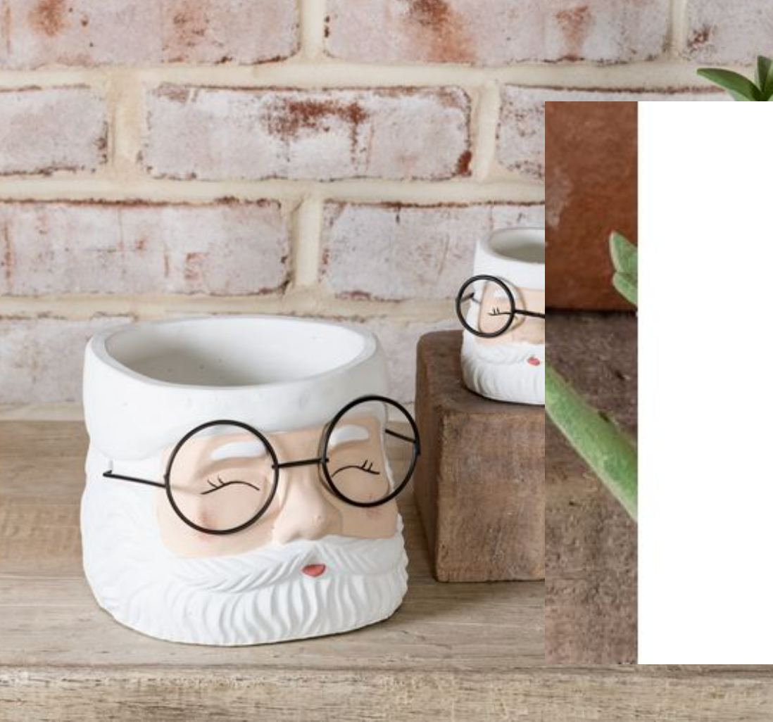 PDCP25-45CP Set of 2 Santa Glasses Planter