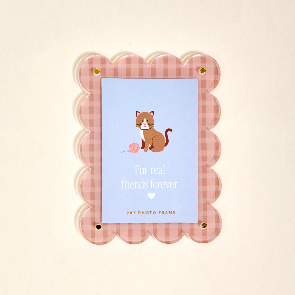 Mini Acrylic Picture Frame Magnet | Cool Cat