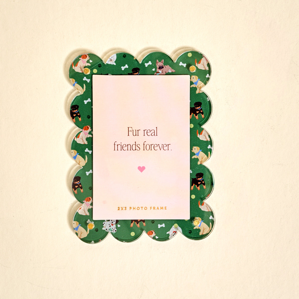 Mini Acrylic Picture Frame Magnet | Dog Days