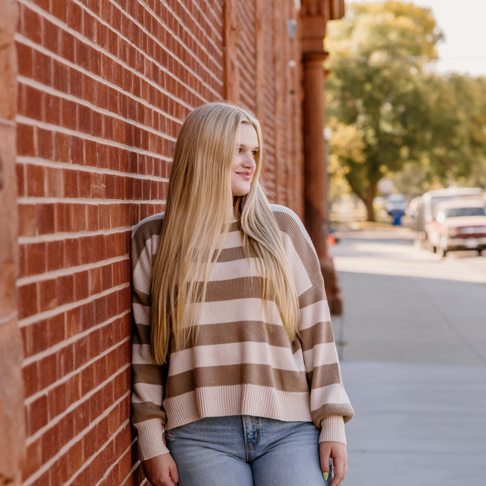 
                      
                        Saige Striped Knit Sweater | Taupe
                      
                    