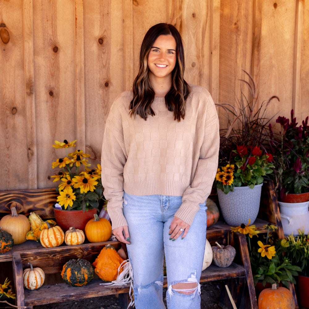 Siena Checkered Knit Sweater | Taupe