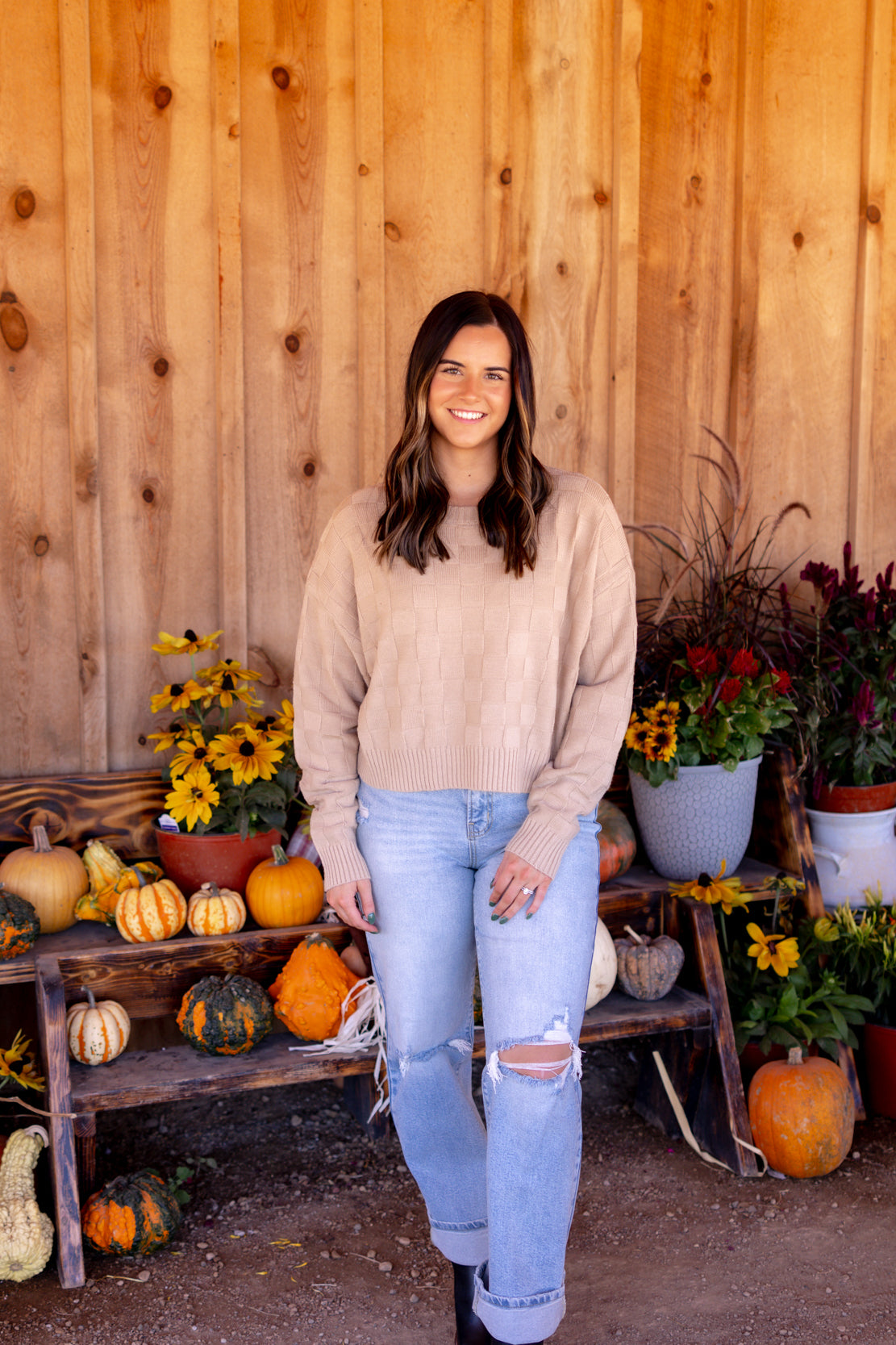 Siena Checkered Knit Sweater | Taupe