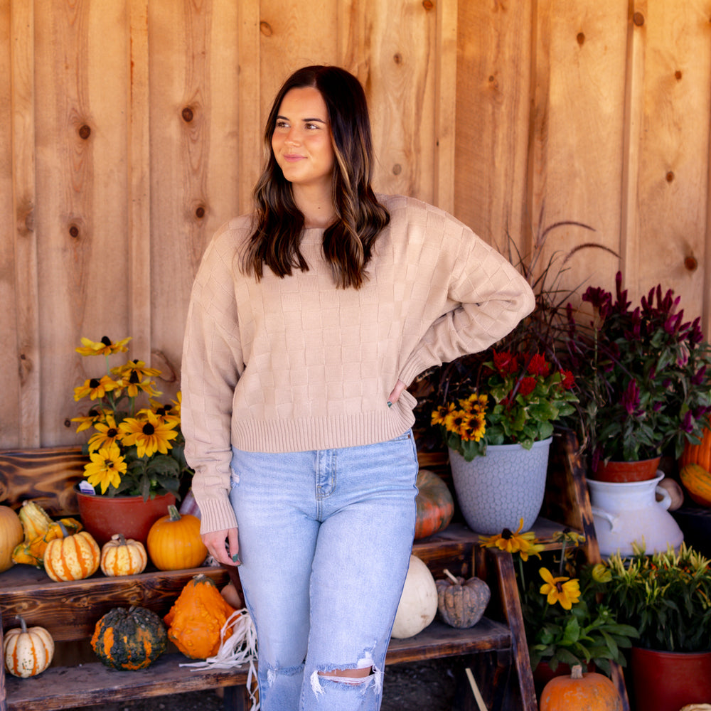 
                      
                        Siena Checkered Knit Sweater | Taupe
                      
                    