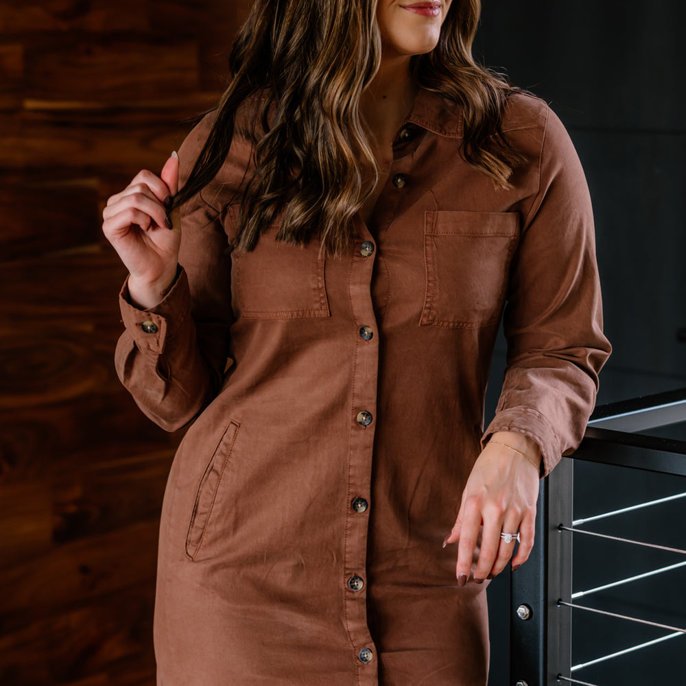 Zula Button Down Dress | Soft Silt