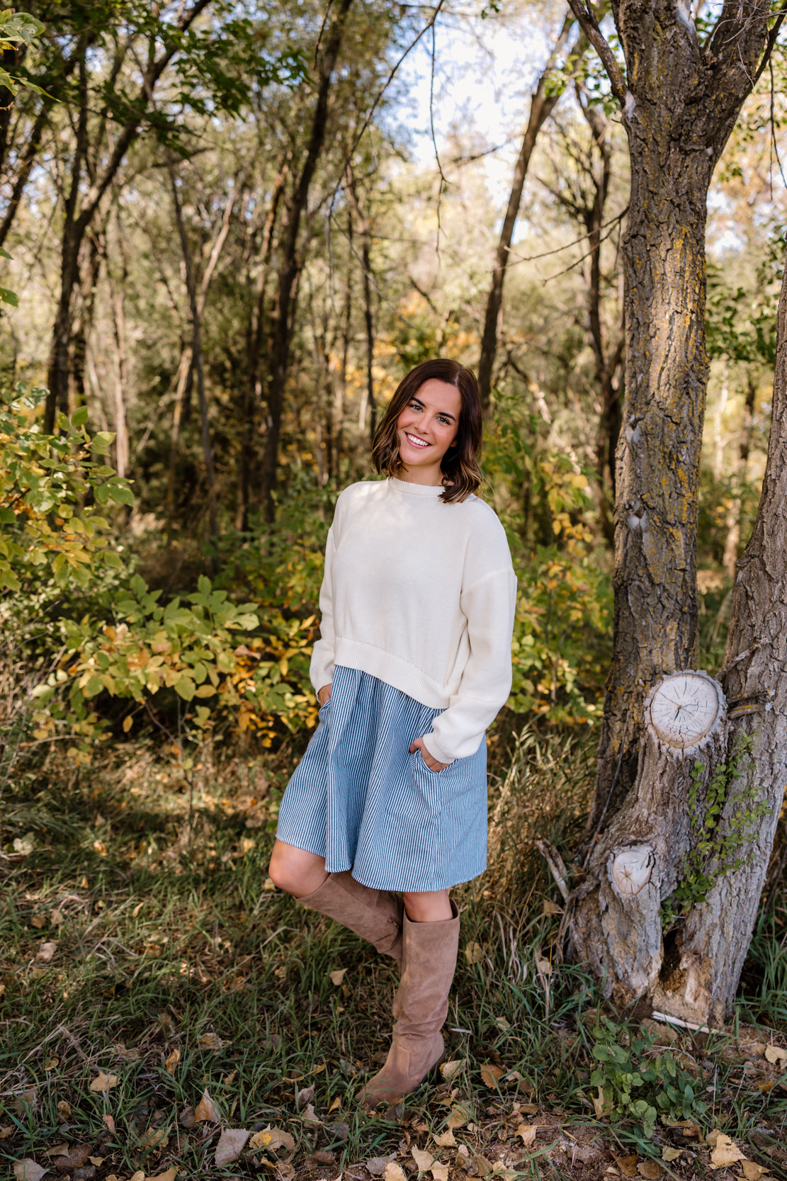 Brooke Mini Sweater Dress | Cream/Olive