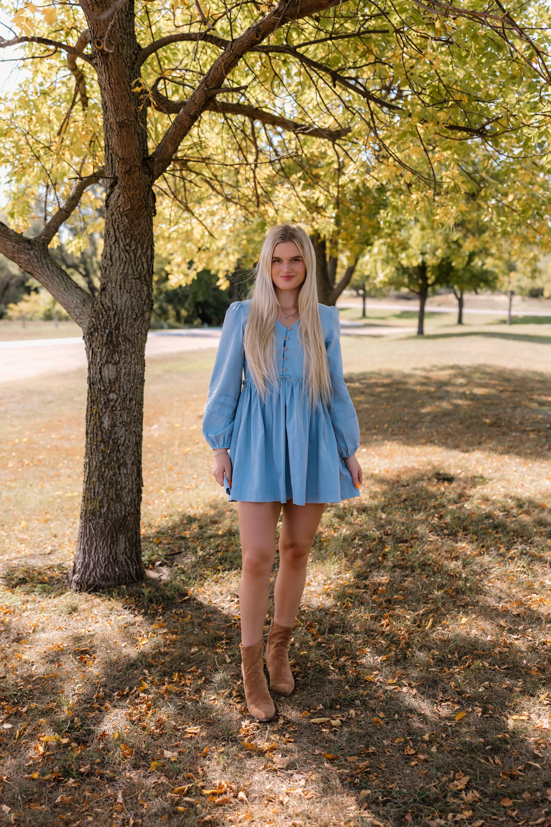 Farrah Denim Dress | Vintage Blue