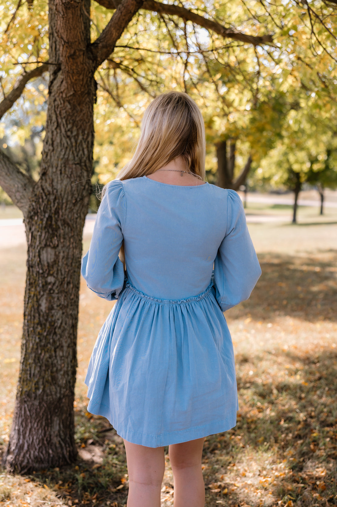 Farrah Denim Dress | Vintage Blue