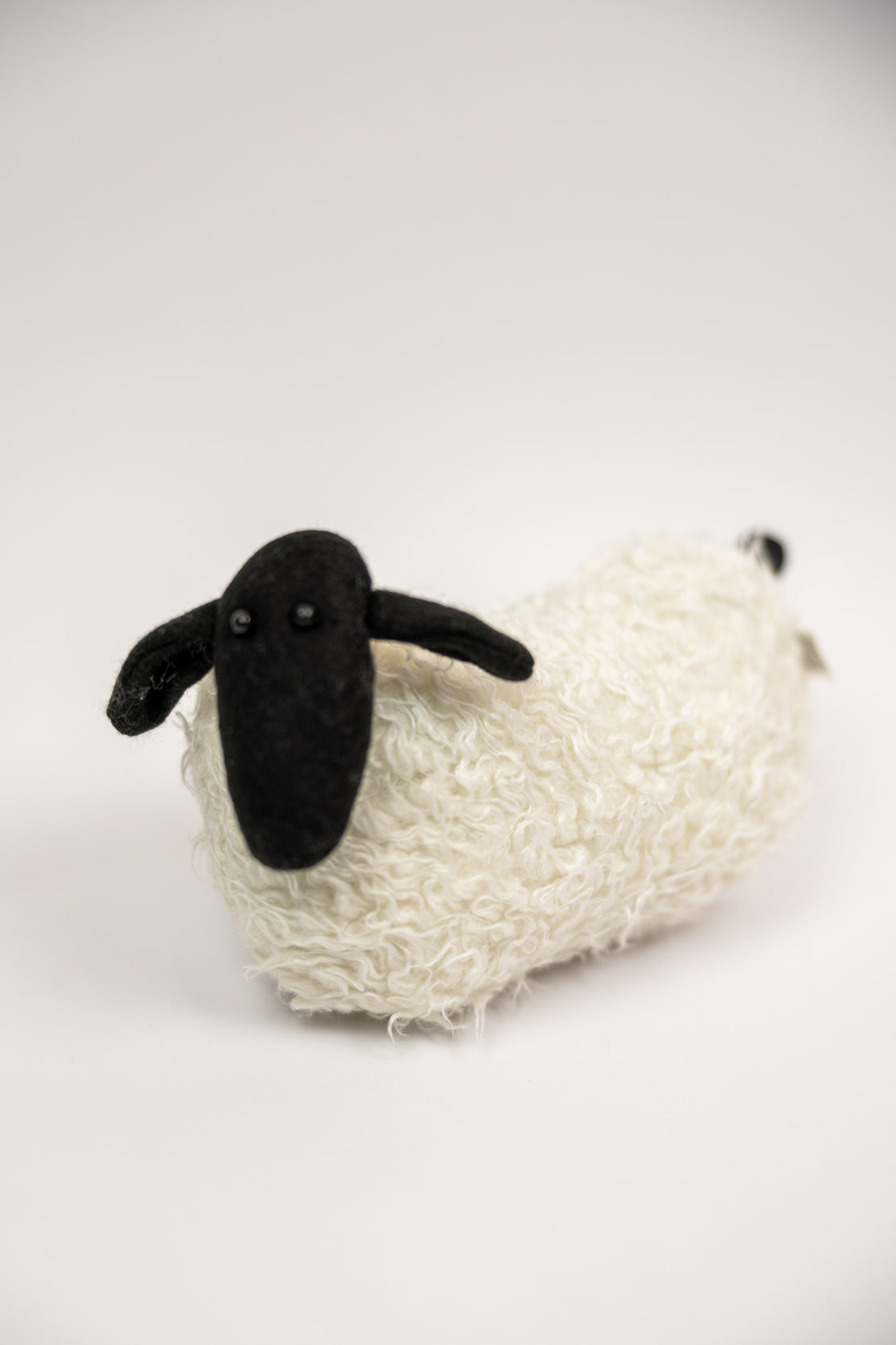 Large Black Face Sheep
