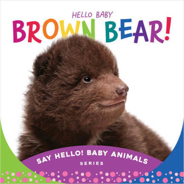Hello Baby Brown Bear Book
