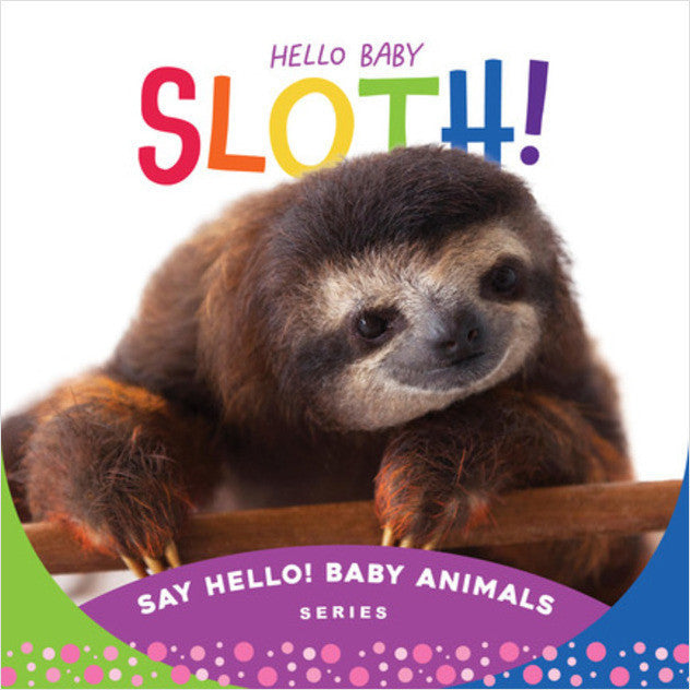 Hello Baby Sloth Book