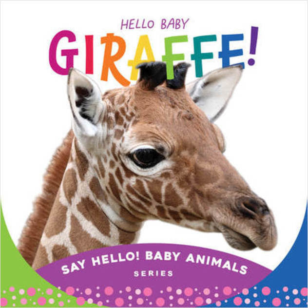 Hello Baby Giraffe Book