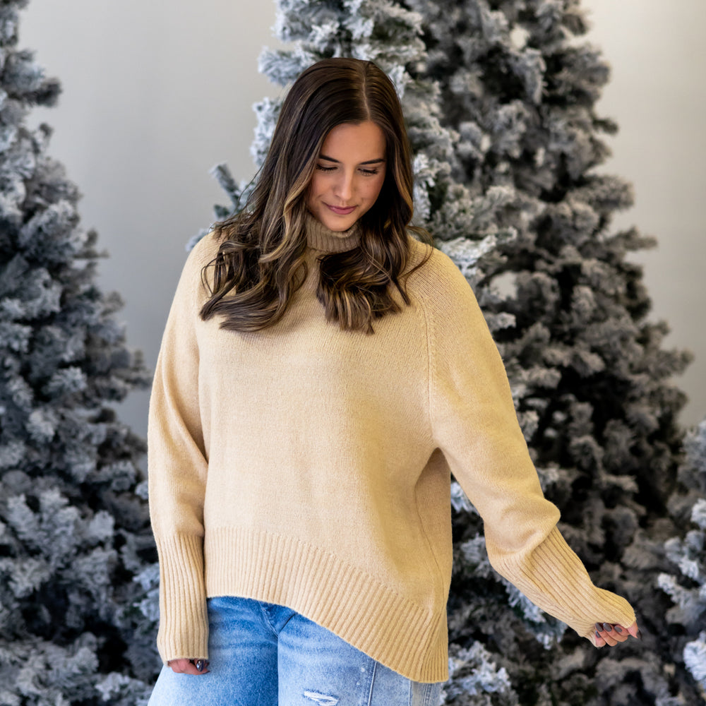 Sadie Turtleneck Sweater | Taupe