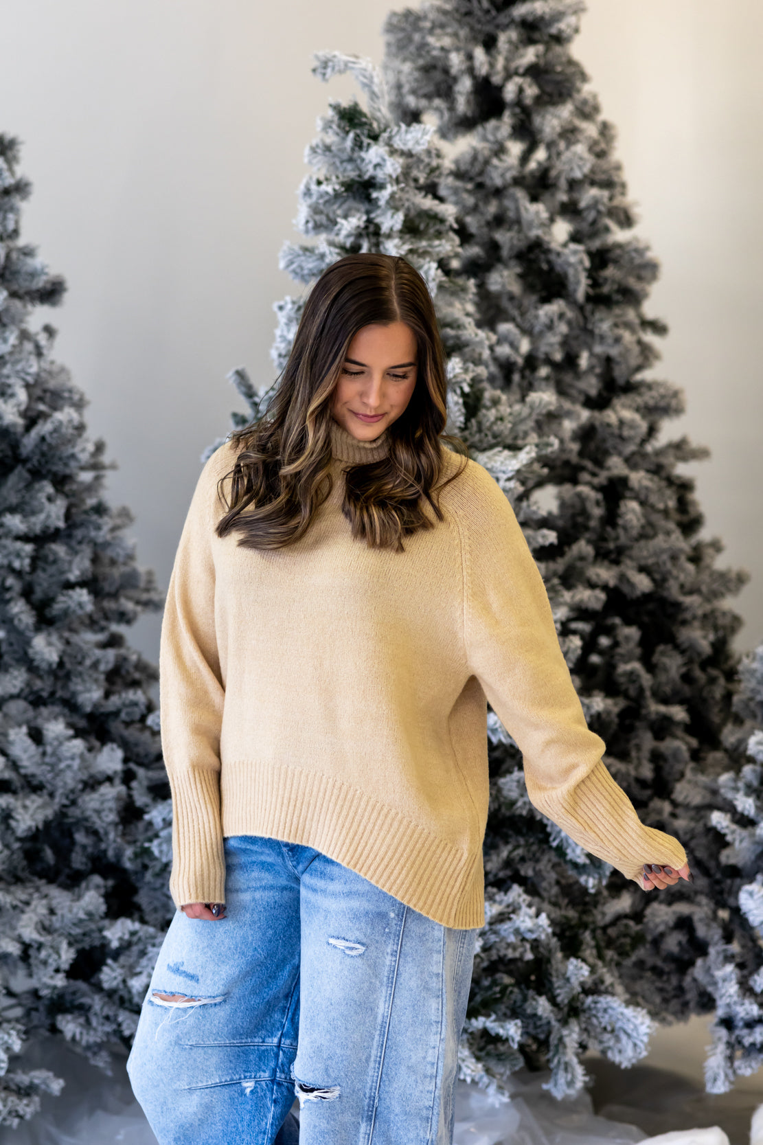 Sadie Turtleneck Sweater | Taupe